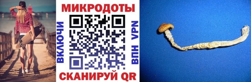 Галлюциногенные грибы Psilocybe  Купить  Белокуриха 