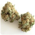 Шишки "White Widow"  (Белая вдова)  Гидропоника -  Бошка VHQ в Белокурихе